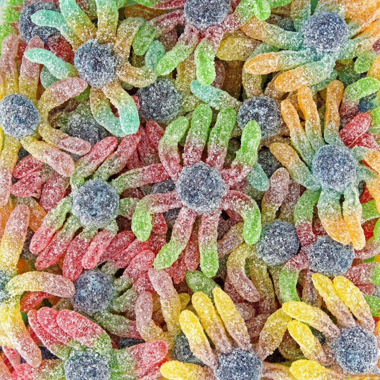 Octopus acidulée